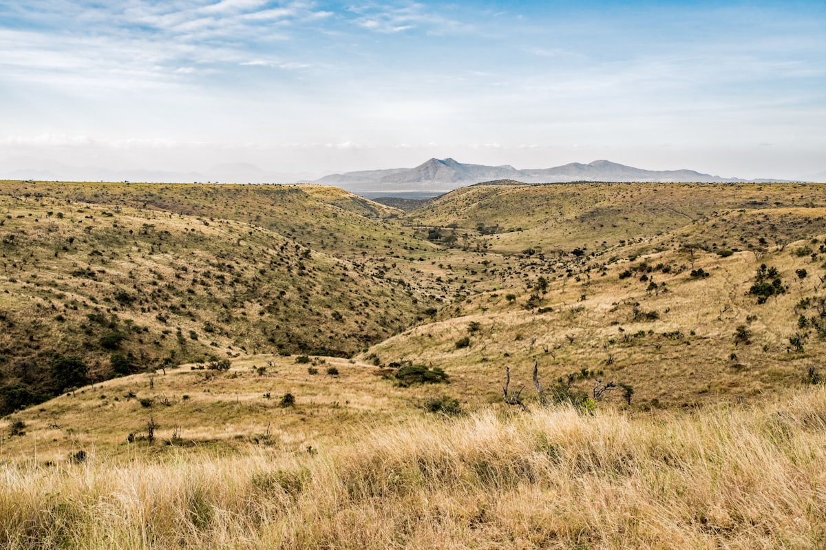Samburu National Reserve landscape, northern Kenya